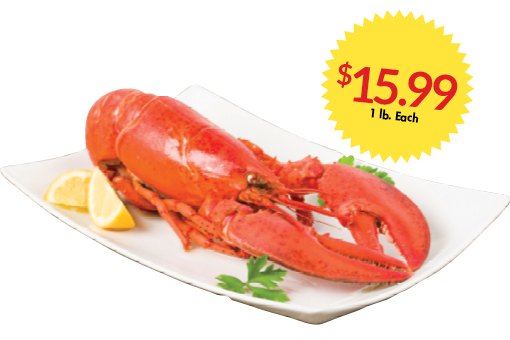 FEI_LobsterSale_510X340_2